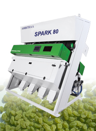 Raisin Sorting Machine