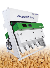 Wheat Sorting Machine