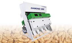 Wheat Sorting Machine